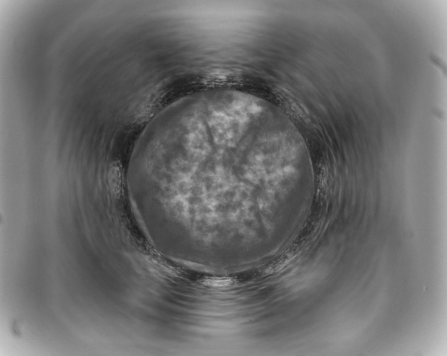 X0000095880659200802011045