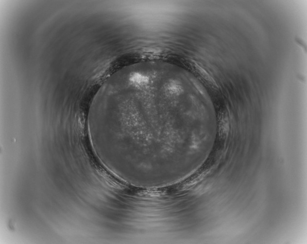 X0000095880661200802011045