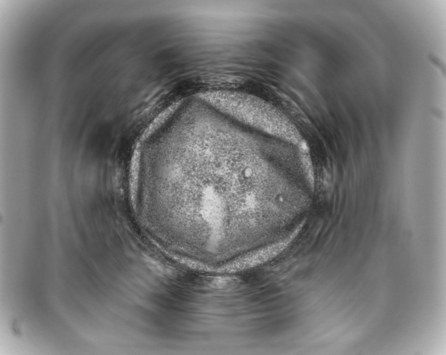 X0000095880663200802011045