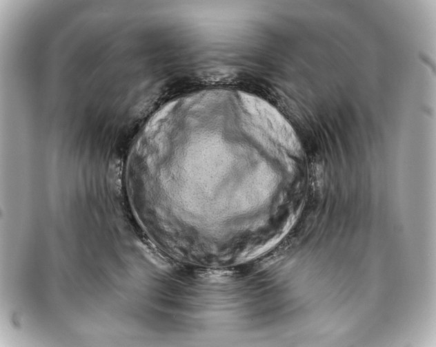 X0000095880664200802011045