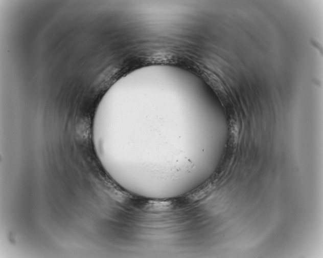 X0000095880665200802011045