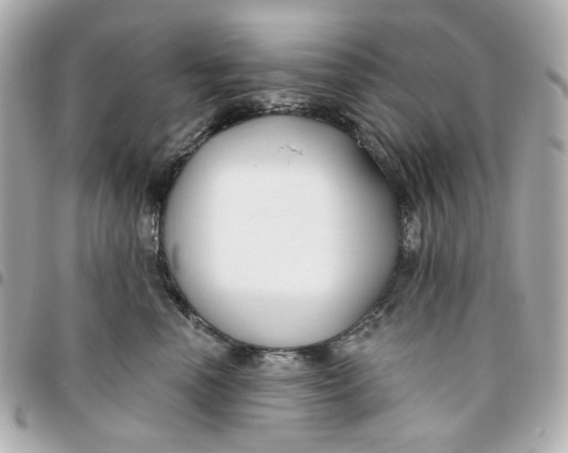 X0000095880666200802011045