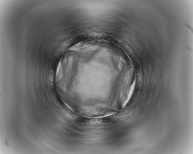 X0000095880668200802011045