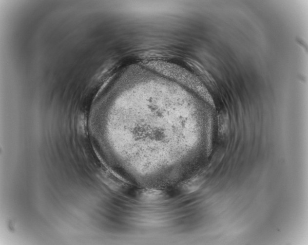 X0000095880669200802011045