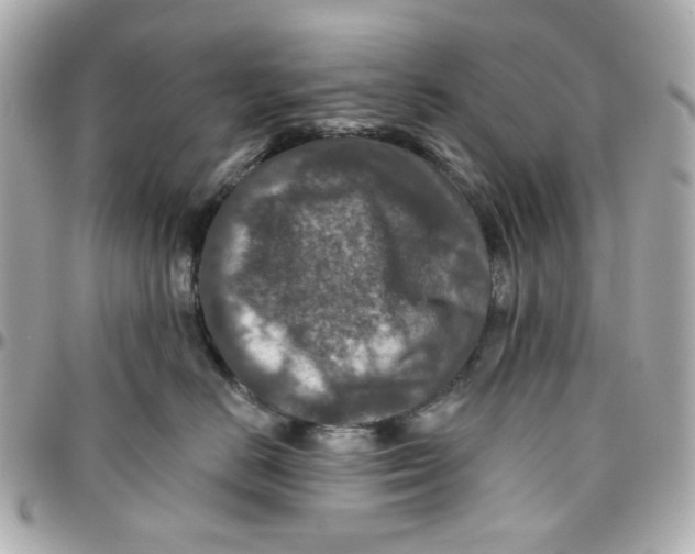 X0000095880670200802011045