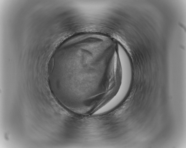 X0000095880673200802011045