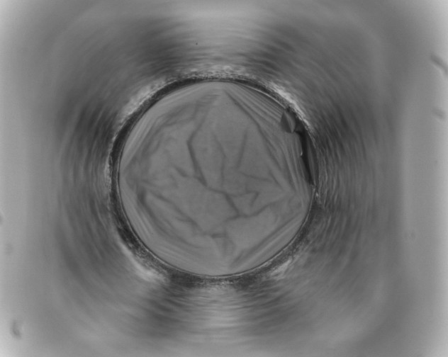 X0000095880674200802011045