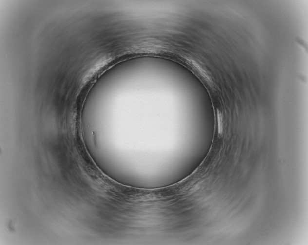 X0000095880675200802011045