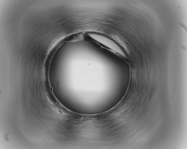 X0000095880676200802011045