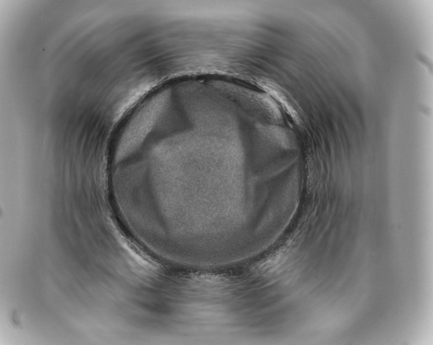 X0000095880677200802011045