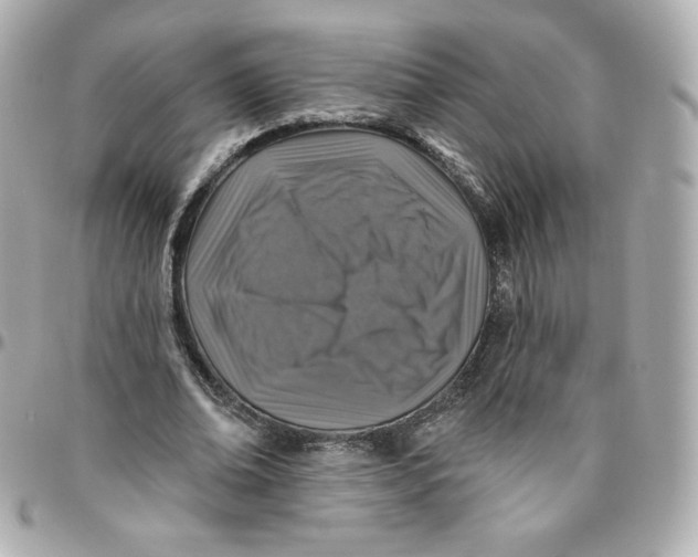 X0000095880678200802011045