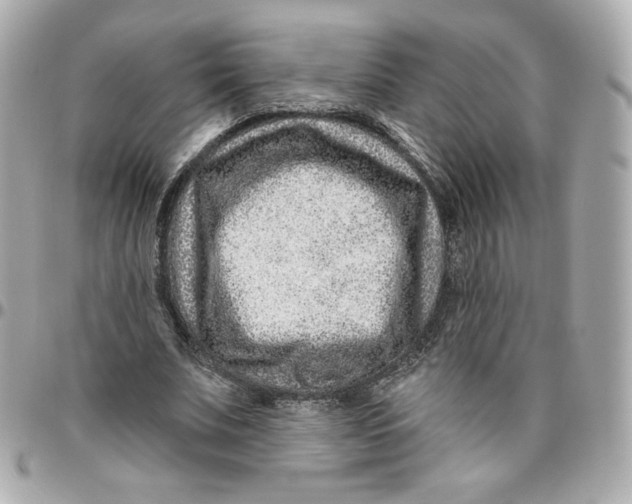 X0000095880679200802011045