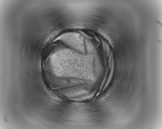 X0000095880681200802011044