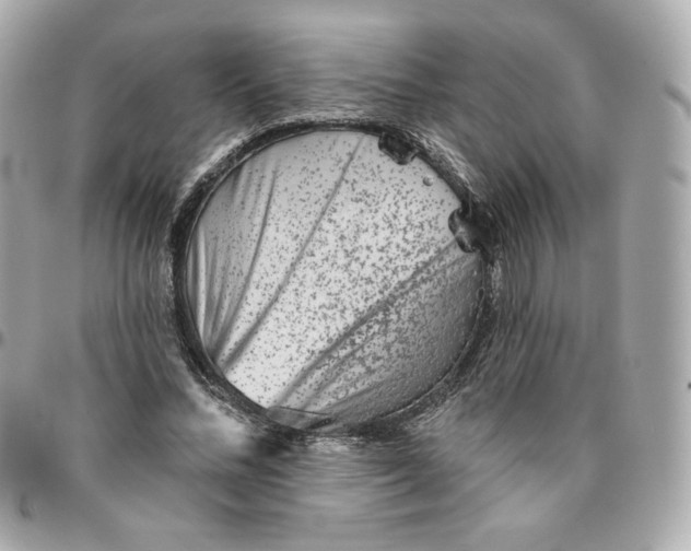 X0000095880684200802011044