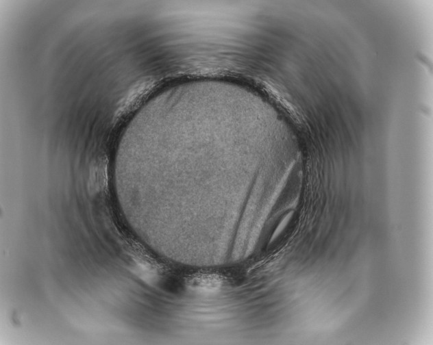 X0000095880685200802011044