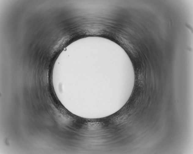 X0000095880686200802011044