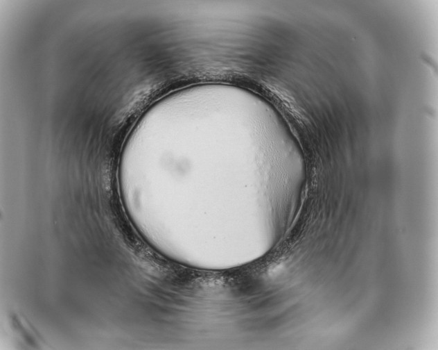 X0000095880687200802011044