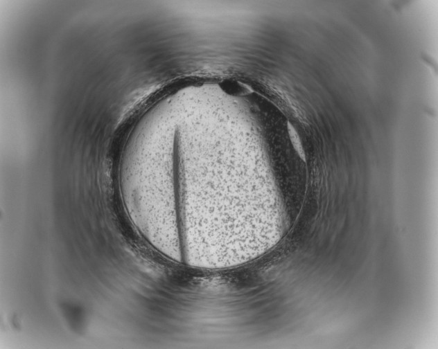 X0000095880688200802011044