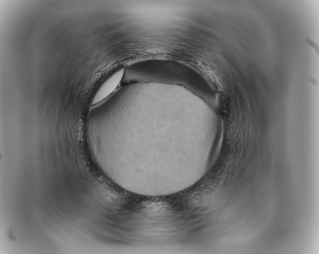 X0000095880689200802011044