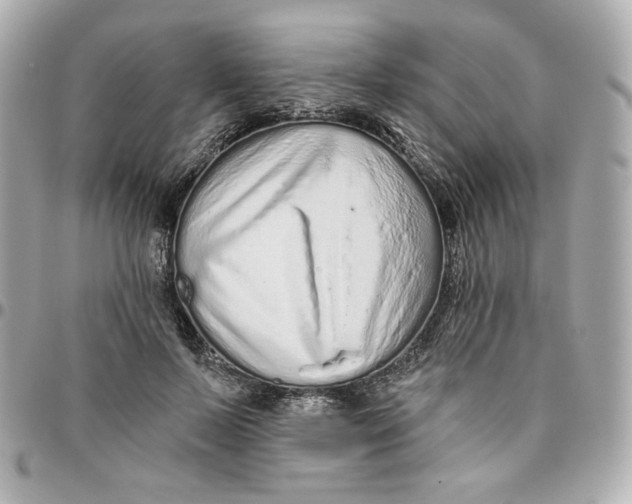 X0000095880695200802011044