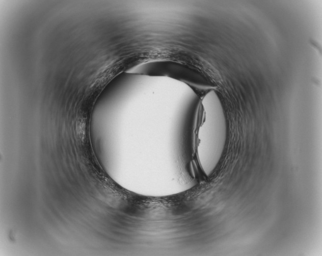 X0000095880697200802011044