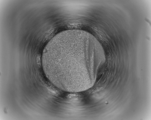 X0000095880699200802011044