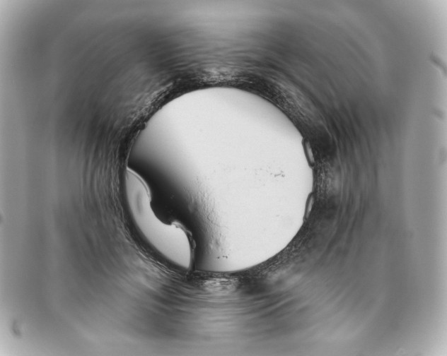 X0000095880700200802011044