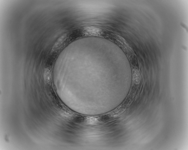 X0000095880701200802011044