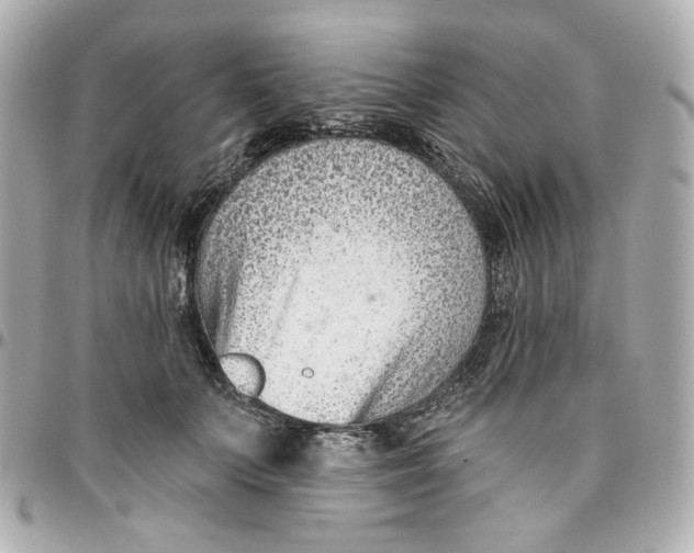 X0000095880703200802011044