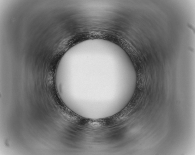 X0000095880706200802011044