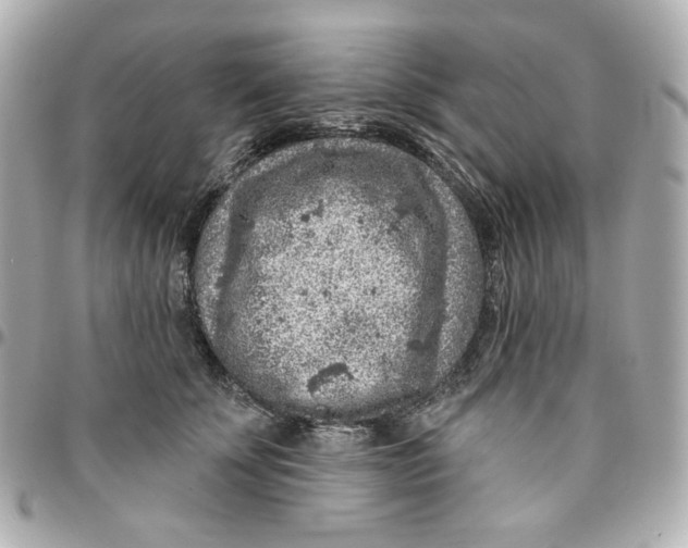 X0000095880707200802011044