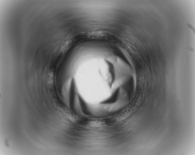 X0000095880708200802011044