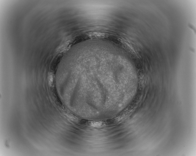 X0000095880709200802011044