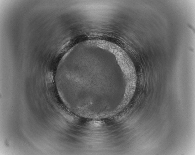 X0000095880711200802011044