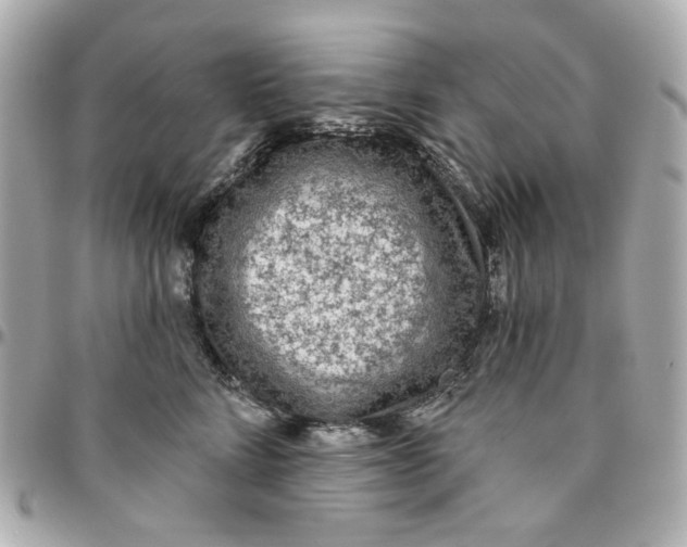 X0000095880712200802011044