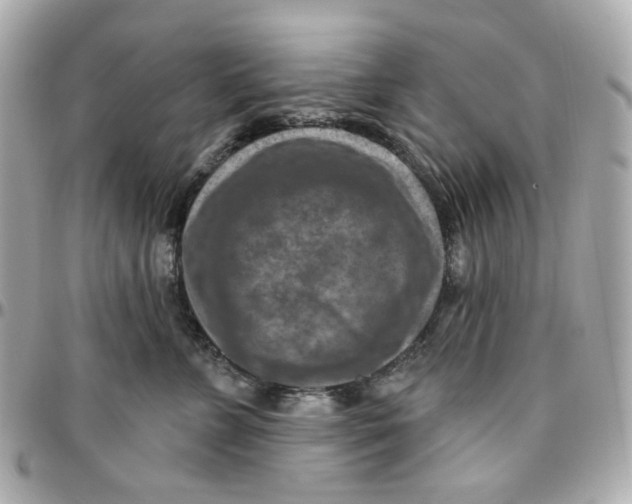 X0000095880715200802011044