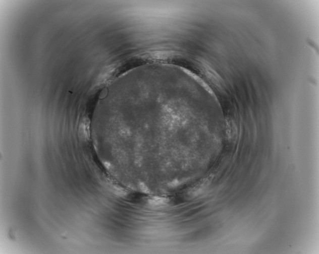 X0000095880718200802011044