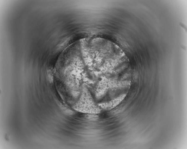 X0000095880719200802011044