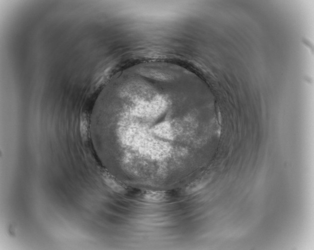 X0000095880720200802011044