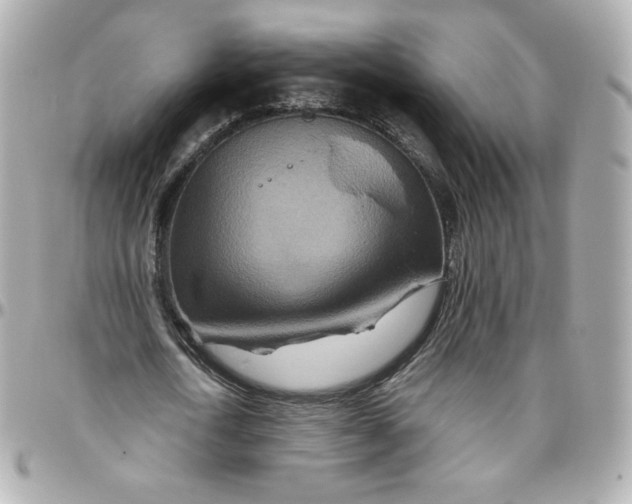 X0000095880722200802011043