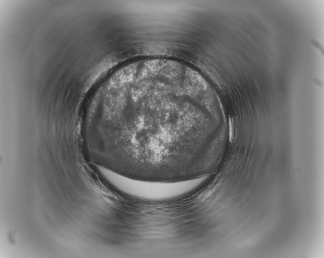 X0000095880723200802011043