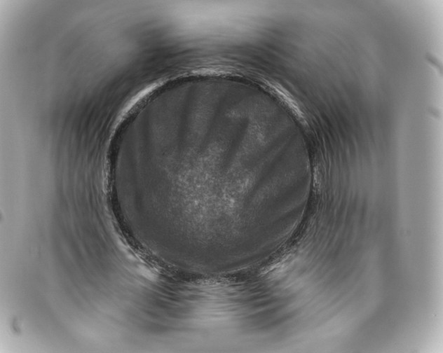 X0000095880724200802011043