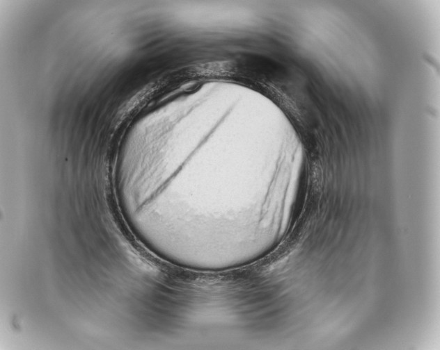 X0000095880725200802011043