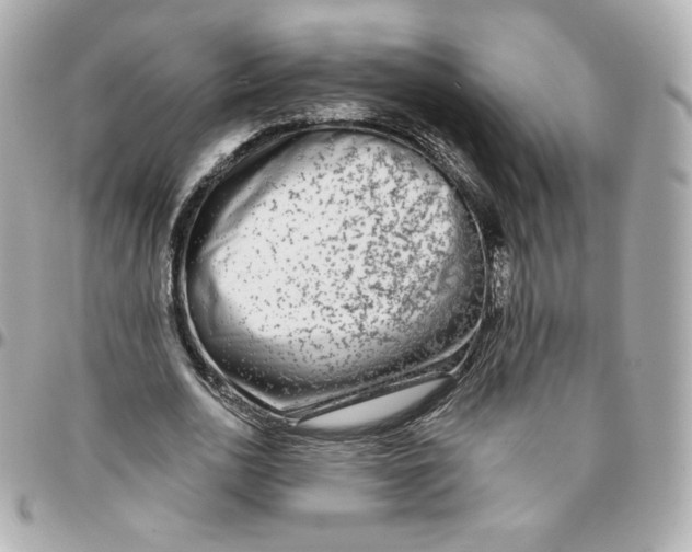 X0000095880726200802011043