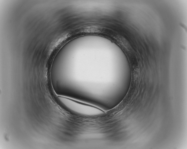 X0000095880727200802011043