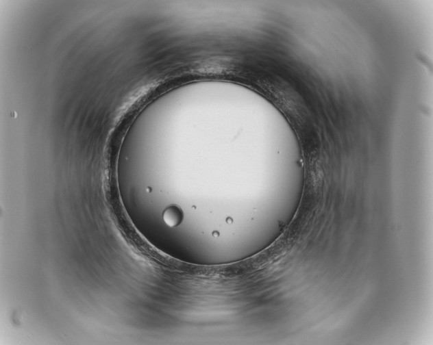 X0000095880728200802011043