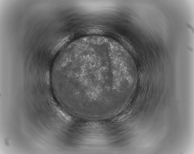 X0000095880729200802011043