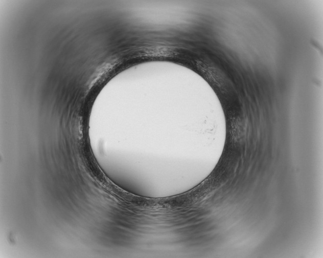 X0000095880731200802011043