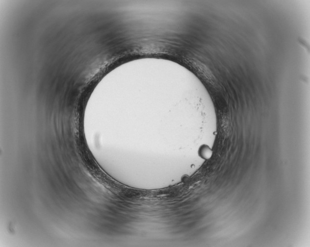 X0000095880732200802011043