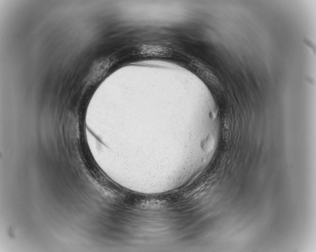 X0000095880734200802011043